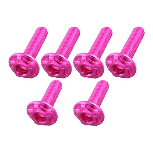 ポッシュフェイス POSHFaith ビレットスクリーンボルトセット M5×16mm 2本/M5×2...