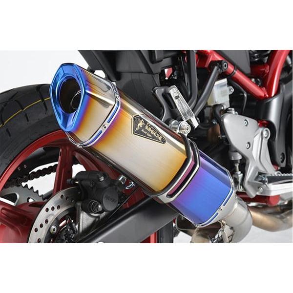アールズギア r's gear リアルスペック スリップオン チタンドラッグブルー SV650/X ...