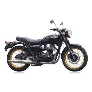 AKRAPOVIC（アクラポビッチ） 直送品 アールズギア ワイバンクラシック