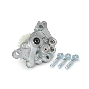 スペシャルパーツ武川 SP武川 スーパーヘッド4V+R コンボキット145cc