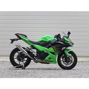WR'S（ダブルアールズ） バイク マフラー 2018- Ninja250 (2BK-EX250P