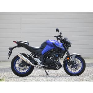 BEAMS（ビームス） BEAMS R-EVO2 カーボン Ninja250 2022〜 8BK-EX250Y