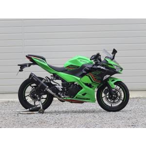 WR'S（ダブルアールズ） バイク マフラー 2018- Ninja250 (2BK-EX250P