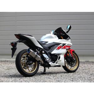 WR'S（ダブルアールズ） バイク マフラー Z250 2BK-EX250P/8BK-EX250Y