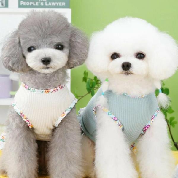 かわいい新作 犬 猫 服 花柄 小型犬用 切り替えワンピース カラフル 女の子向け フリル付き ペッ...