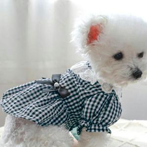 秋服 新作 犬猫服 モノトーン ギンガムチェッ...の詳細画像2