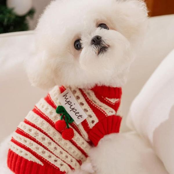 NEW! 超かわいい！ 秋冬 新作 秋服 冬服 ニット ガーリー チェリー さくらんぼ お出かけ 犬...