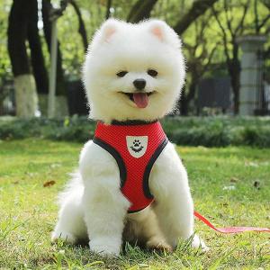 【新作】犬 ハーネス リード2点セット シンプ...の詳細画像4