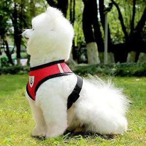 【新作】犬 ハーネス リード2点セット シンプ...の詳細画像5