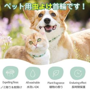 天然ハーブ ノミよけ首輪 キャティーマン 蚊よ...の詳細画像1