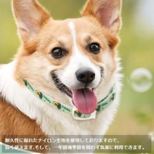 天然ハーブ ノミよけ首輪 キャティーマン 蚊よ...の詳細画像4