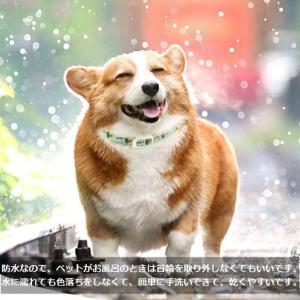 天然ハーブ ノミよけ首輪 キャティーマン 蚊よ...の詳細画像5