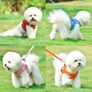 新作 可愛い カラフル メッシュ 犬 ハーネス...の詳細画像1