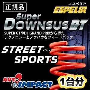 ESPELIR エスペリア SupeR DOWNSUS GT スーパーダウンサスGT トヨタ