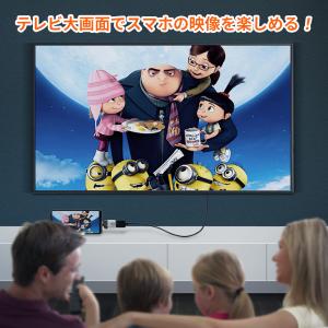 Type-C to DisplayPort変換...の詳細画像2