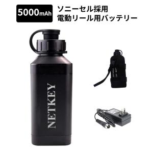 DAIWA（ダイワ） スーパーリチウム BM2600C 充電器付き メタリック