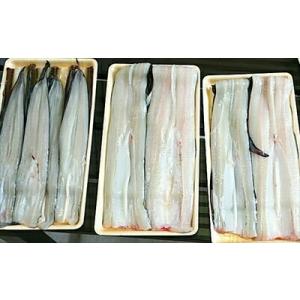 アナゴ 穴子 魚介類 海産物 食品 通販 Yahoo ショッピング