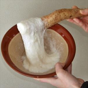 山形県産 雪国育ちの 自然薯 生芋 １kg