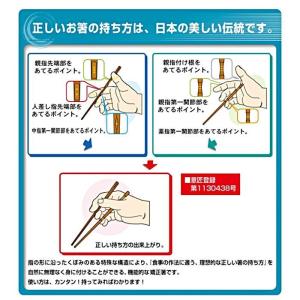 三点支持箸 はし上手 大人用 23cm 20....の詳細画像2