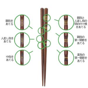 三点支持箸 はし上手 大人用 23cm 20....の詳細画像3