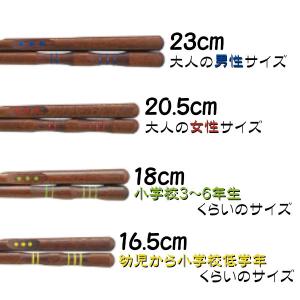 三点支持箸 はし上手 大人用 23cm 20....の詳細画像4