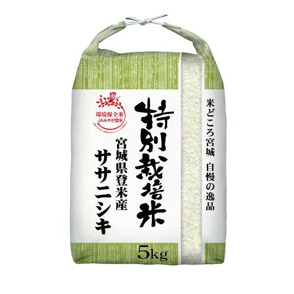【新米】R7年度　ササニシキ　5ｋｇ　宮城県　登米　