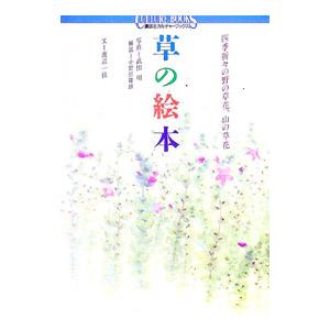 草の絵本−四季折々の野の草花、山の草花−／渡辺一枝