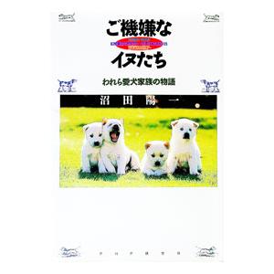 ご機嫌なイヌたち／沼田陽一