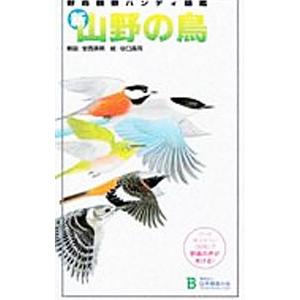 新・山野の鳥／谷口高司