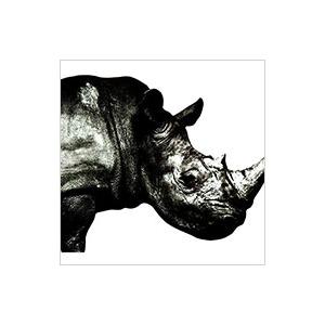 Ｍｒ．Ｃｈｉｌｄｒｅｎ／Ｍｒ．Ｃｈｉｌｄｒｅｎ １９９２〜１９９５