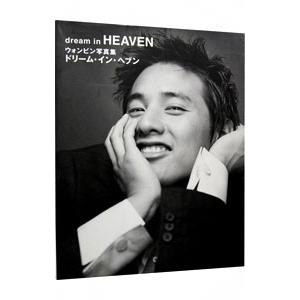 ドリーム・イン・ヘブン-ウォンビン写真集-の商品画像