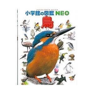 鳥／柚木修