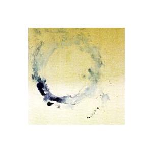 ＡＣＩＤＭＡＮ／Ｌｏｏｐ （ＣＣＣＤ）