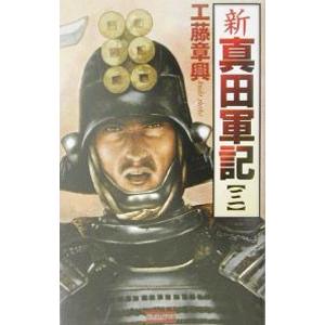新真田軍記 3／工藤章興