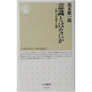 意識とはなにか／茂木健一郎