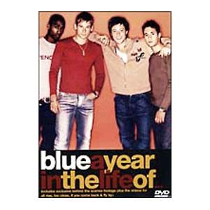 DVD／ア・イヤー・イン・ザ・ライフ・オブ・ブルー