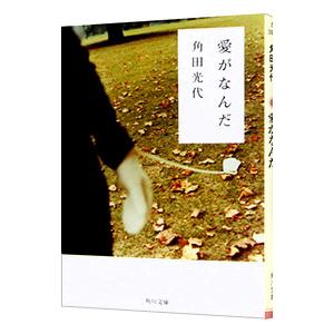 愛がなんだ／角田光代