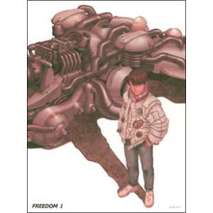 DVD／ＦＲＥＥＤＯＭ １