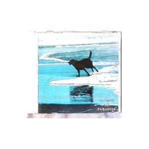 クラシック・イン・パラダイス〜優しさはほのかにせつなく