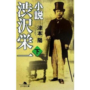 小説渋沢栄一 下／津本陽