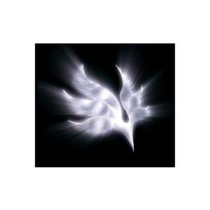 ＢＵＭＰ ＯＦ ＣＨＩＣＫＥＮ／ｏｒｂｉｔａｌ ｐｅｒｉｏｄ