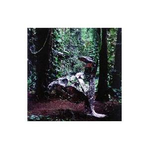 シーエスエス／ドンキー