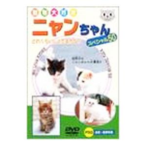 DVD／動物大好き ニャンちゃん スペシャル５０