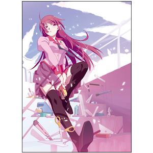 Blu-ray／偽物語 第四巻 つきひフェニックス（上） 完全生産限定版