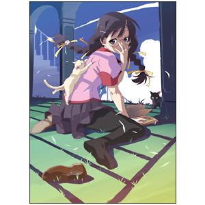 Blu-ray／偽物語 第四巻 つきひフェニックス（上） 完全生産限定版