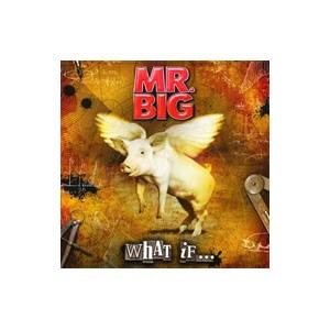 ＭＲ．ＢＩＧ／ホワット・イフ…