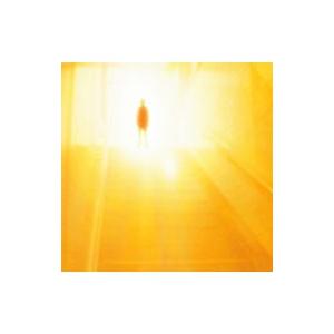 ＢＵＭＰ ＯＦ ＣＨＩＣＫＥＮ／友達の唄