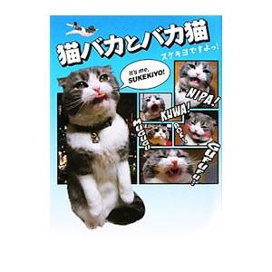 猫バカとバカ猫 にょーたろー の最安値 価格比較 送料無料検索 Yahoo ショッピング