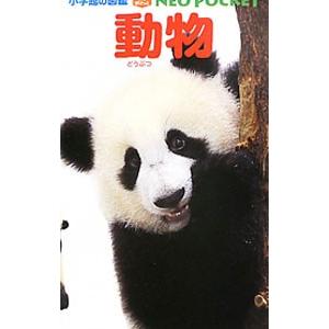 動物／成島悦雄