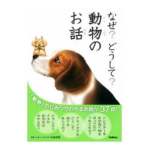なぜ？どうして？動物のお話／こざきゆう